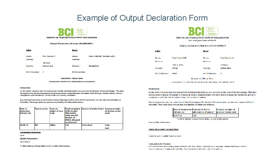 Example of Output Declaration Form 