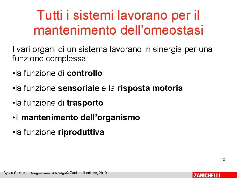 Tutti i sistemi lavorano per il mantenimento dell’omeostasi I vari organi di un sistema