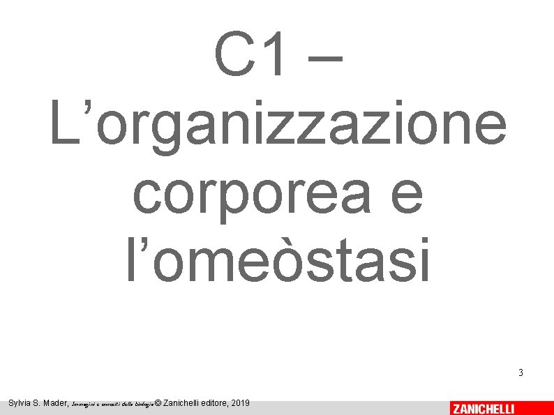 C 1 – L’organizzazione corporea e l’omeòstasi 3 Sylvia S. Mader, Immagini e concetti