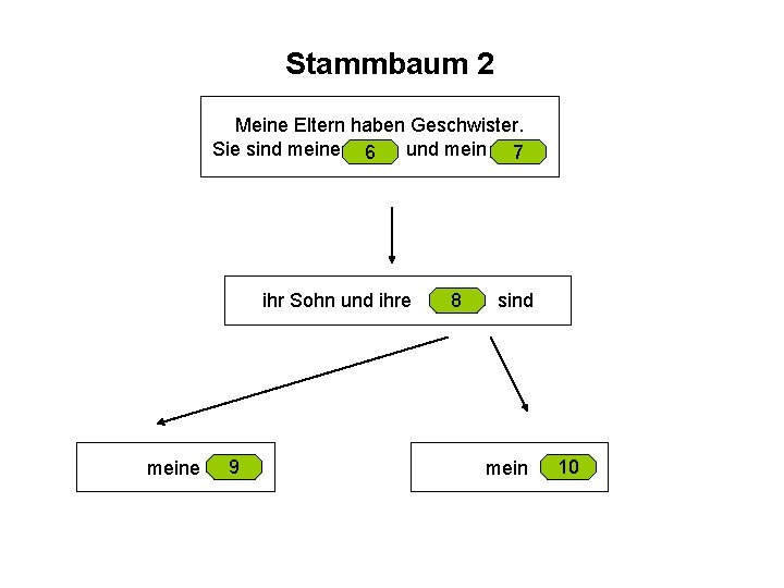 Stammbaum 2 Meine Eltern haben Geschwister. Sie sind meine 6 und mein 7 ihr