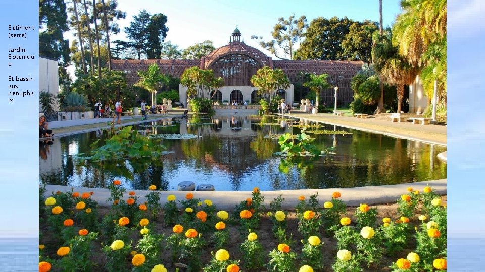 Bâtiment (serre) Jardin Botaniqu e Et bassin aux nénupha rs 