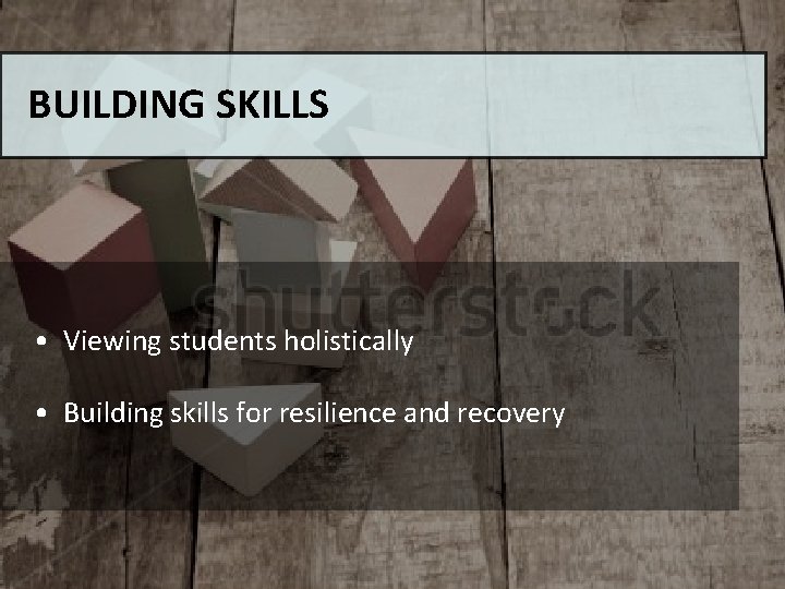 BUILDING SKILLS • Viewing students holistically • Building skills for resilience and recovery 