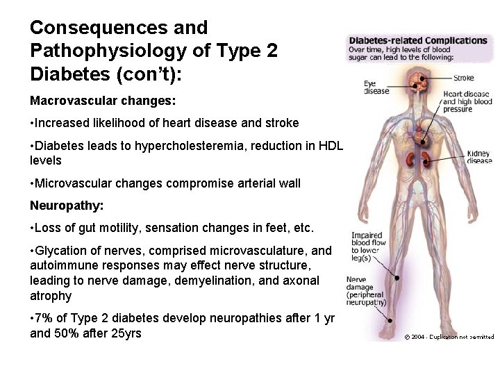 Consequences and Pathophysiology of Type 2 Diabetes (con’t): Macrovascular changes: • Increased likelihood of