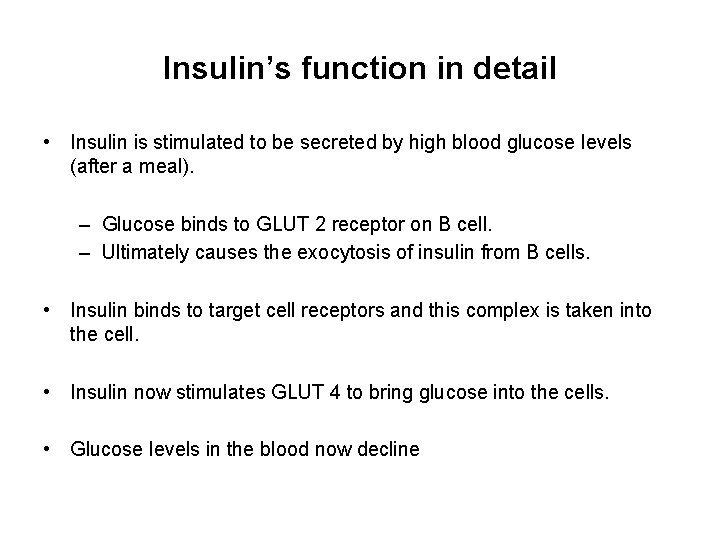 Insulin’s function in detail • Insulin is stimulated to be secreted by high blood