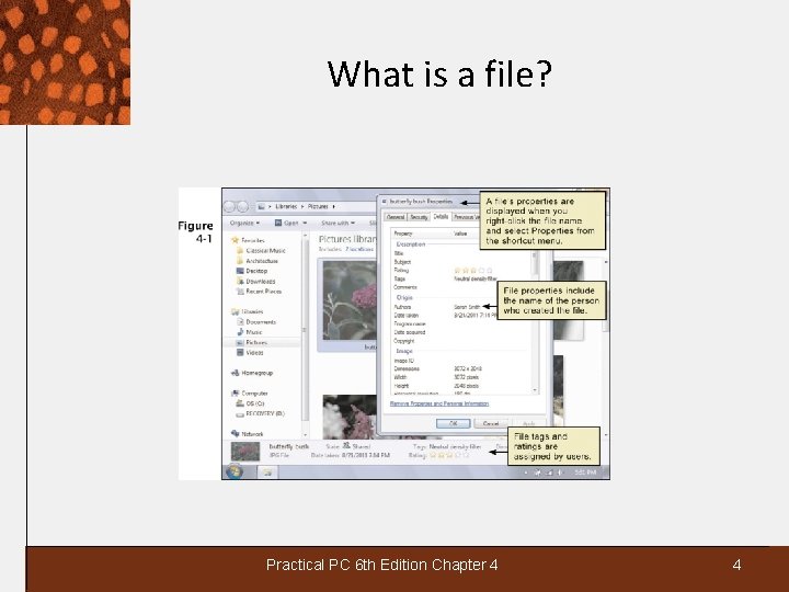 What is a file? Practical PC 6 th Edition Chapter 4 4 