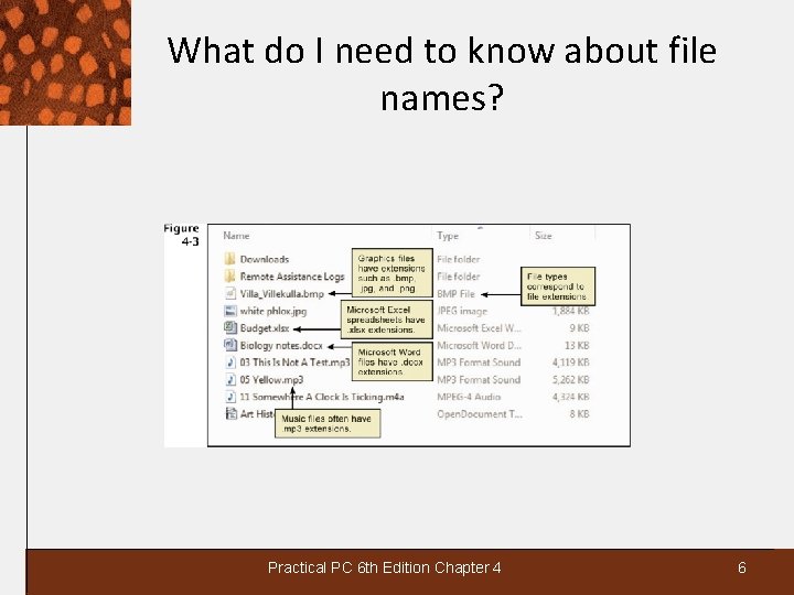 What do I need to know about file names? Practical PC 6 th Edition