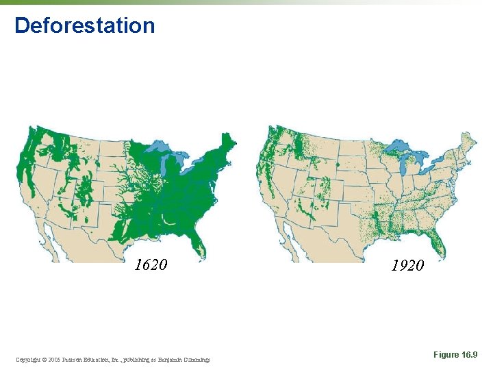 Deforestation Over 3 centuries, Americans denuded most of their forests (green). Even in the
