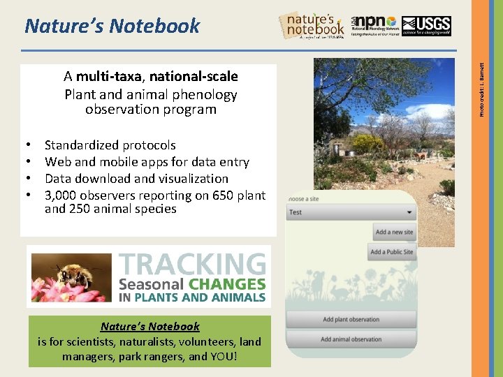 A multi-taxa, national-scale Plant and animal phenology observation program • • Standardized protocols Web