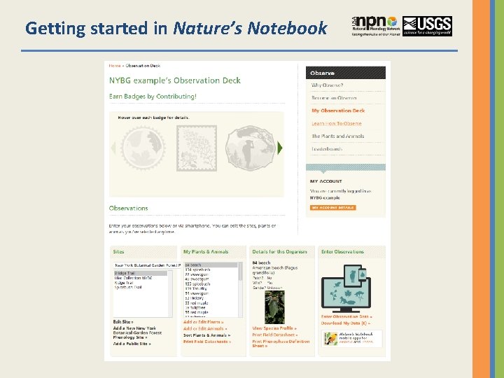 Getting started in Nature’s Notebook 