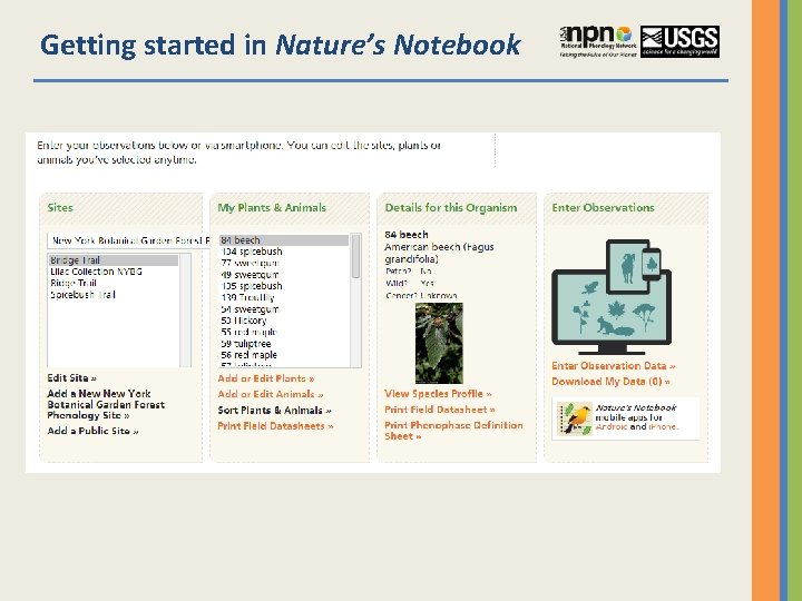 Getting started in Nature’s Notebook 