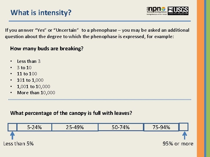 What is intensity? If you answer “Yes” or “Uncertain” to a phenophase – you