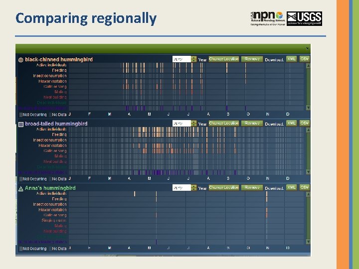 Comparing regionally 