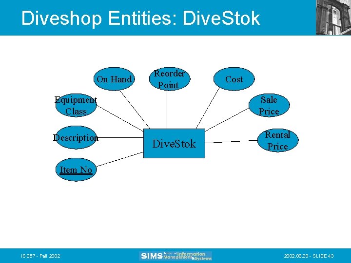 Diveshop Entities: Dive. Stok On Hand Reorder Point Equipment Class Description Cost Sale Price Diveshop Entities: Dive. Stok On Hand Reorder Point Equipment Class Description Cost Sale Price