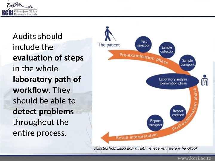 Audits should include the evaluation of steps in the whole laboratory path of workflow.