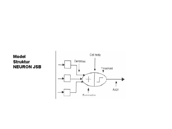 Model Struktur NEURON JSB 