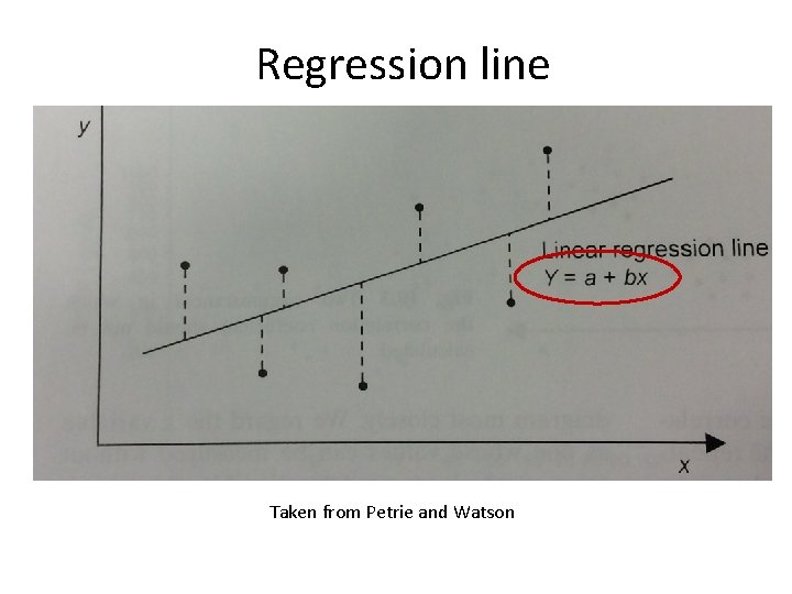 Regression line Taken from Petrie and Watson Regression line Taken from Petrie and Watson