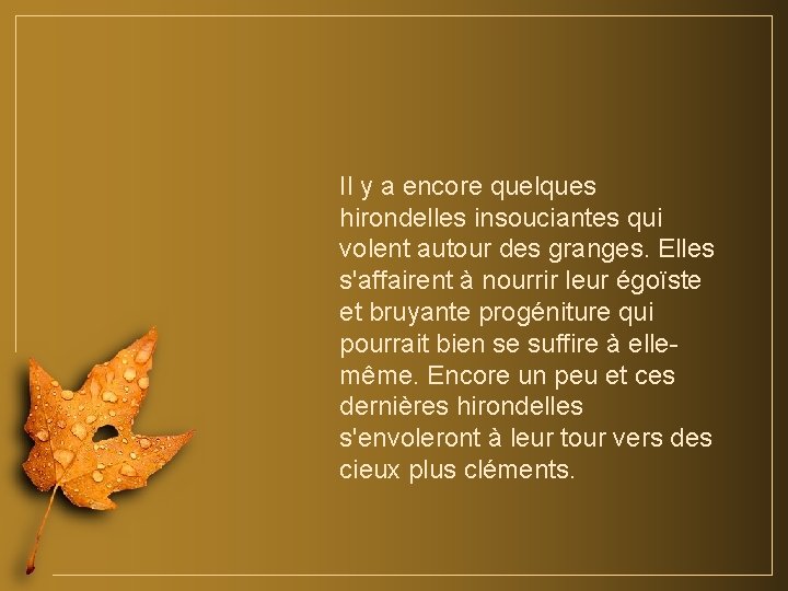 Il y a encore quelques hirondelles insouciantes qui volent autour des granges. Elles s'affairent