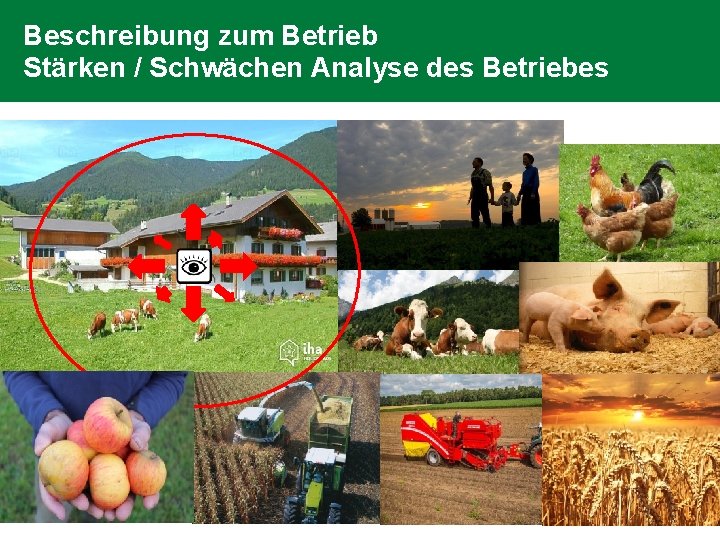 Beschreibung zum Betrieb Stärken / Schwächen Analyse des Betriebes Beschreibung zum Betrieb Stärken / Schwächen Analyse des Betriebes