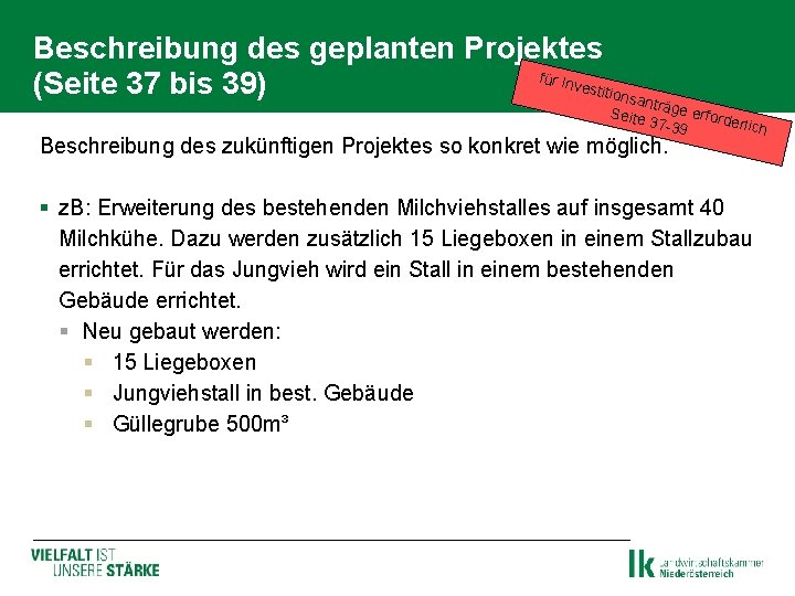 Beschreibung des geplanten Projektes für In vestit (Seite 37 bis 39) ionsa n Seite Beschreibung des geplanten Projektes für In vestit (Seite 37 bis 39) ionsa n Seite