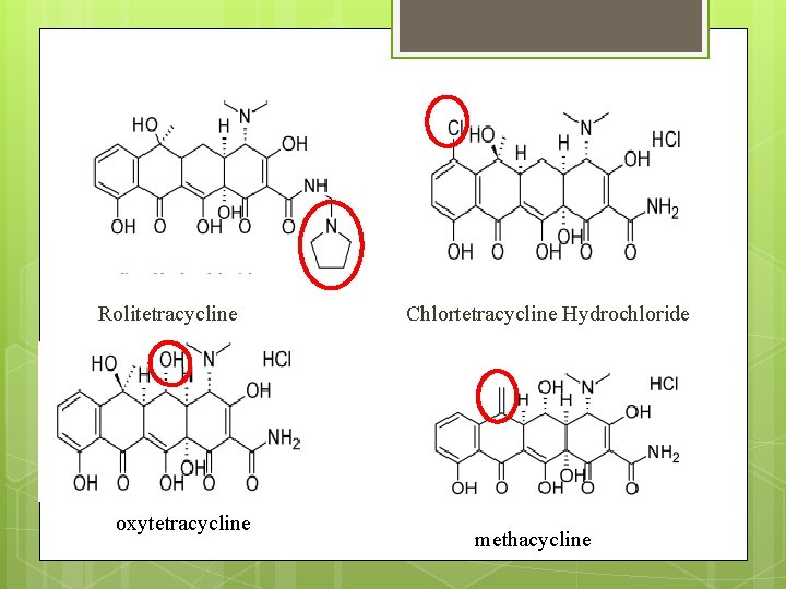 Rolitetracycline oxytetracycline Chlortetracycline Hydrochloride methacycline 