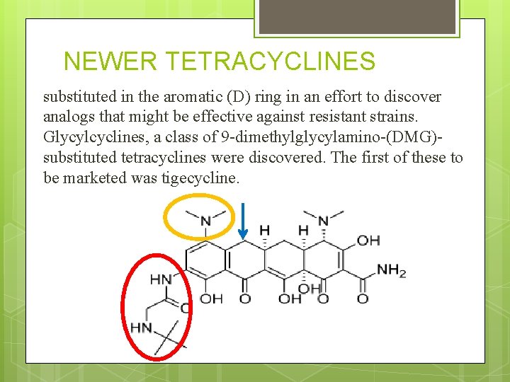 NEWER TETRACYCLINES substituted in the aromatic (D) ring in an effort to discover analogs