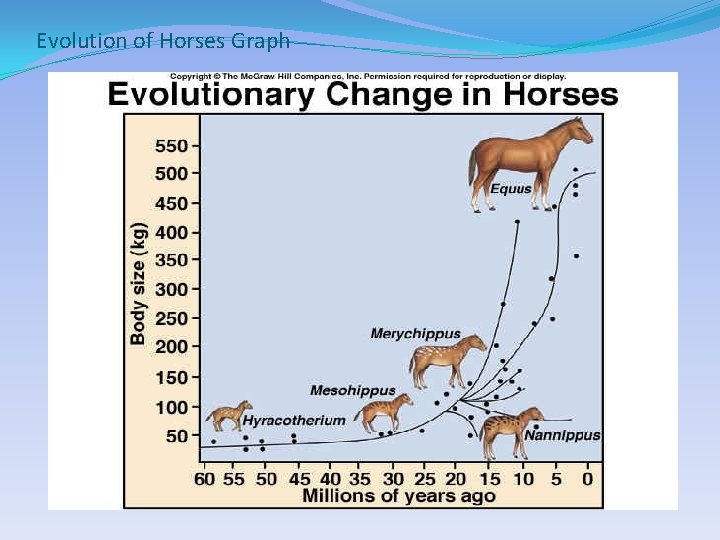 Evolution of Horses Graph 