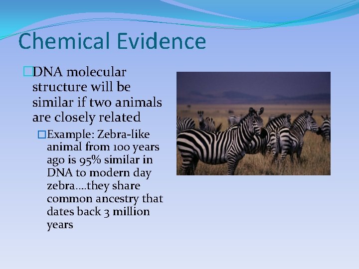 Chemical Evidence �DNA molecular structure will be similar if two animals are closely related