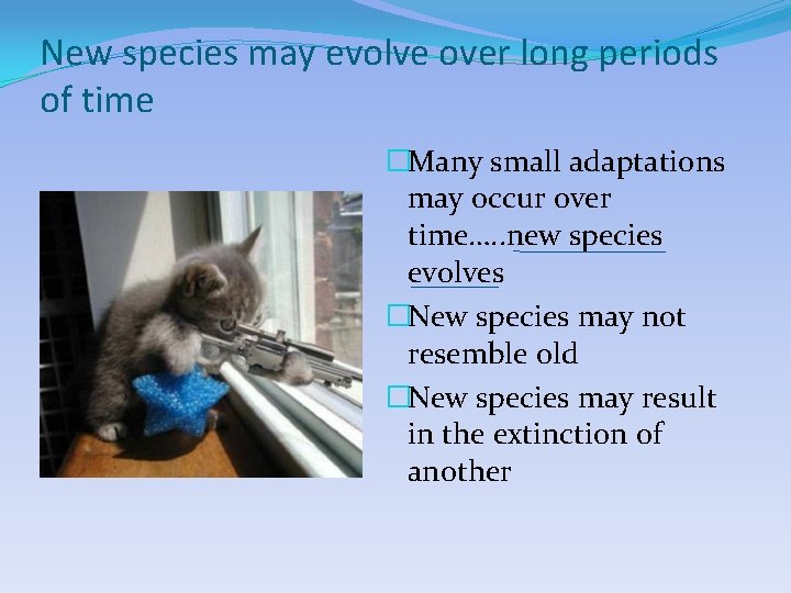 New species may evolve over long periods of time �Many small adaptations may occur