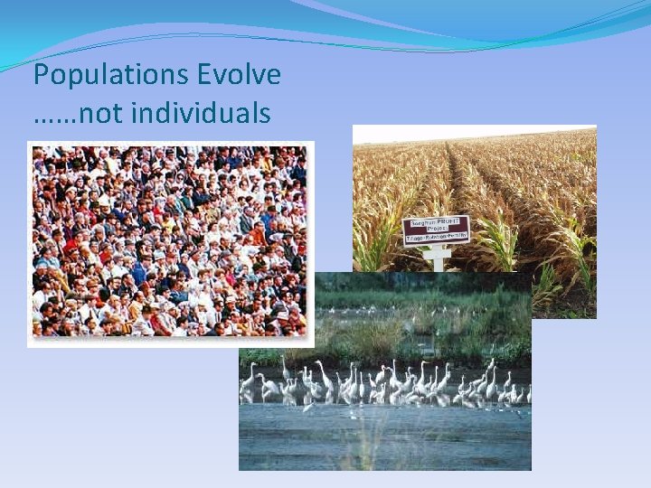 Populations Evolve ……not individuals 