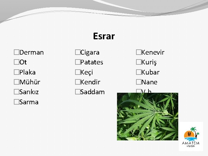 Esrar �Derman �Ot �Plaka �Mühür �Sarıkız �Sarma �Cigara �Patates �Keçi �Kendir �Saddam �Kenevir �Kuriş