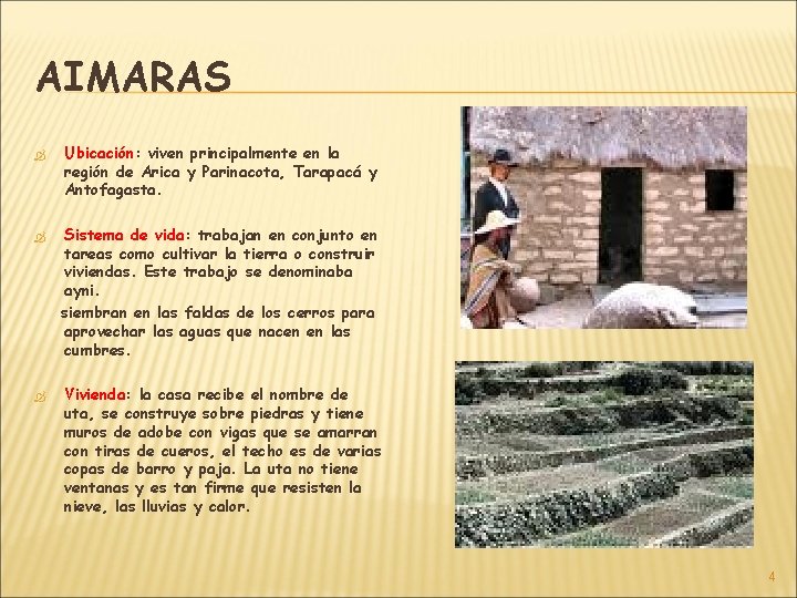 AIMARAS Ubicación: Ubicación viven principalmente en la región de Arica y Parinacota, Tarapacá y