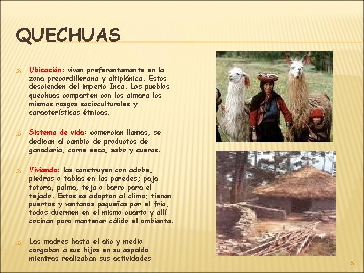 QUECHUAS Ubicación: Ubicación viven preferentemente en la zona precordillerana y altiplánica. Estos descienden del