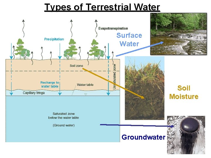 Types of Terrestrial Water Surface Water Soil Moisture Groundwater 
