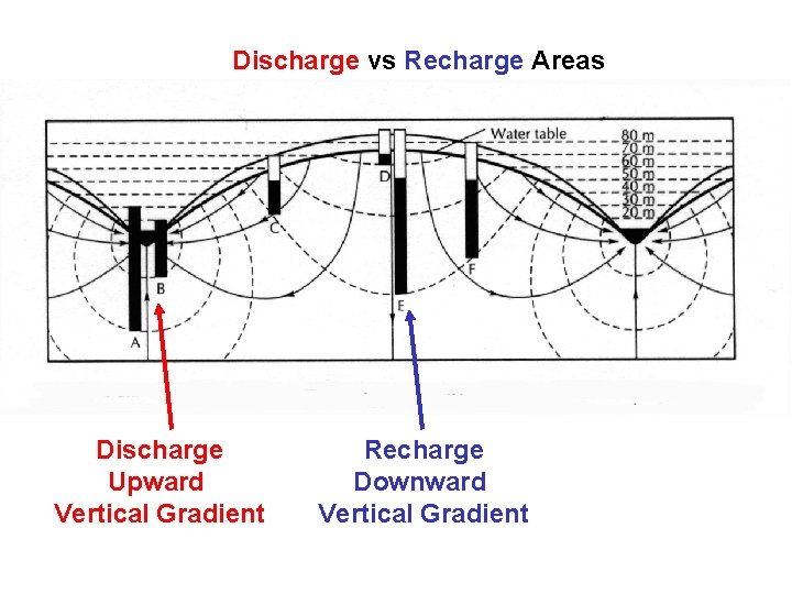 Discharge vs Recharge Areas Discharge Upward Vertical Gradient Recharge Downward Vertical Gradient 