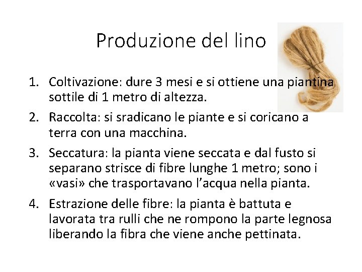 Produzione del lino 1. Coltivazione: dure 3 mesi e si ottiene una piantina sottile