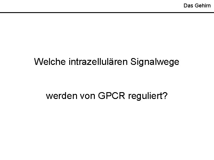 Das Gehirn Welche intrazellulären Signalwege werden von GPCR reguliert? Das Gehirn Welche intrazellulären Signalwege werden von GPCR reguliert?