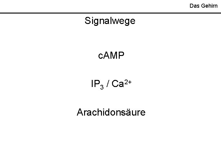 Das Gehirn Signalwege c. AMP IP 3 / Ca 2+ Arachidonsäure 