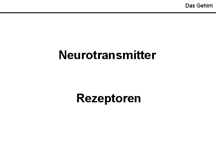 Das Gehirn Neurotransmitter Rezeptoren 