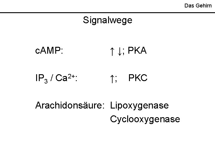 Das Gehirn Signalwege c. AMP: ↑ ↓; PKA IP 3 / Ca 2+: ↑;