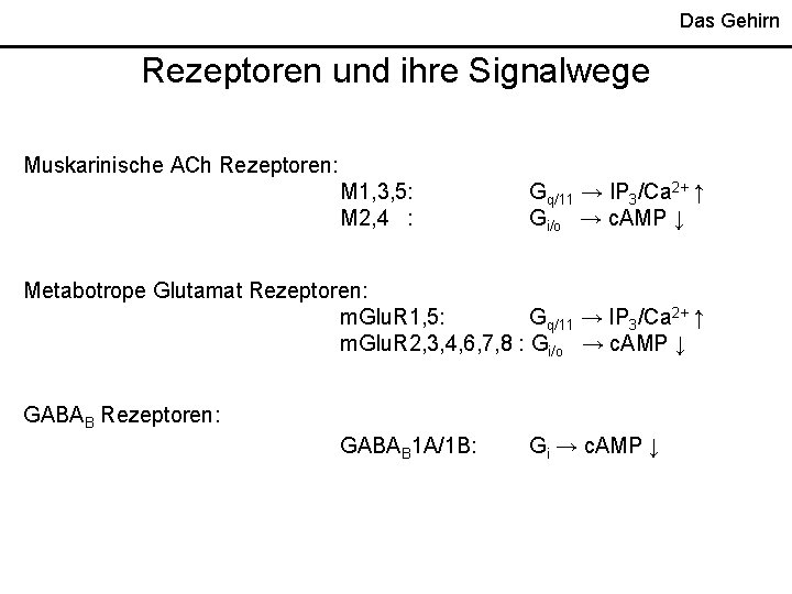 Das Gehirn Rezeptoren und ihre Signalwege Muskarinische ACh Rezeptoren: M 1, 3, 5: M Das Gehirn Rezeptoren und ihre Signalwege Muskarinische ACh Rezeptoren: M 1, 3, 5: M