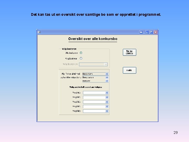 Det kan tas ut en oversikt over samtlige bo som er opprettet i programmet.