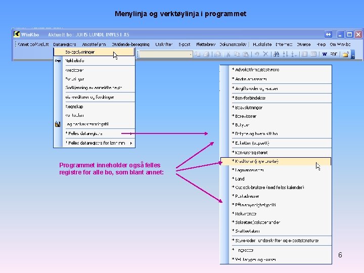 Menylinja og verktøylinja i programmet Programmet inneholder også felles registre for alle bo, som