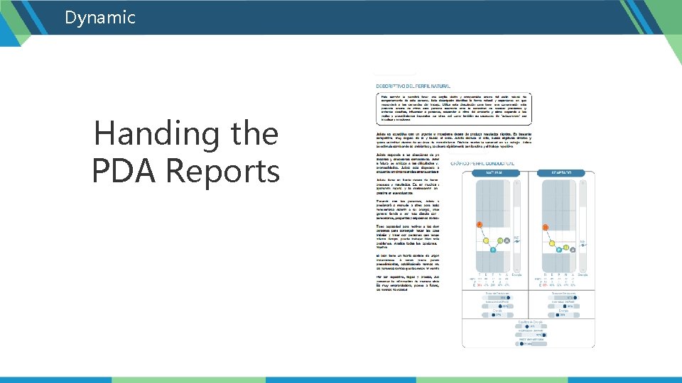 Dynamic Handing the PDA Reports 