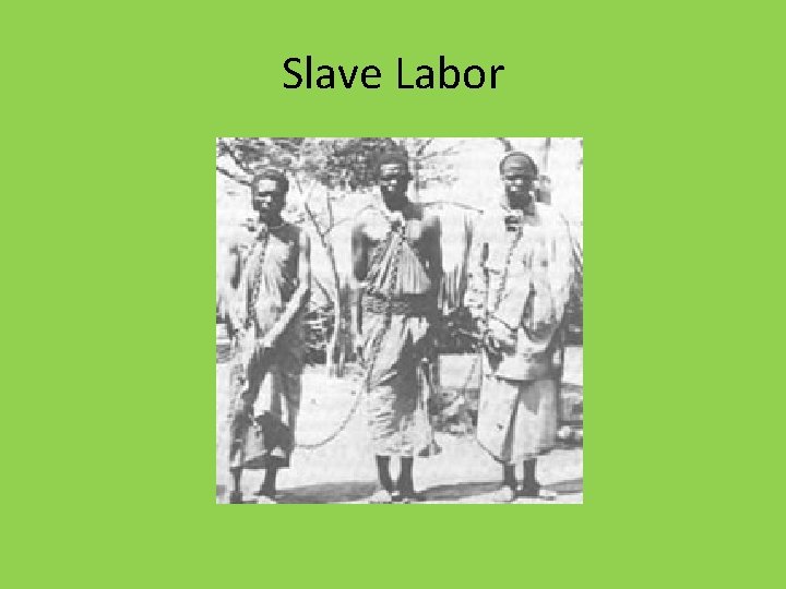 Slave Labor 