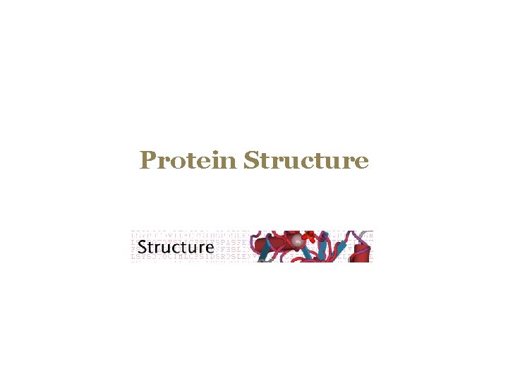 Protein Structure 