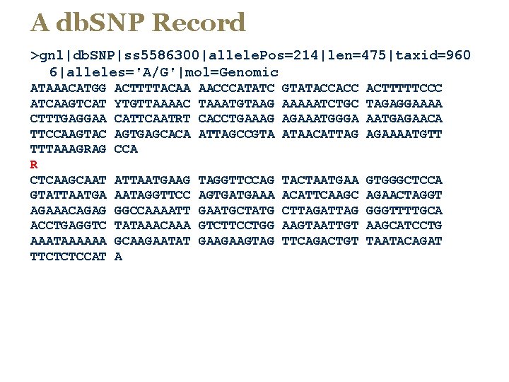 A db. SNP Record >gnl|db. SNP|ss 5586300|allele. Pos=214|len=475|taxid=960 6|alleles='A/G'|mol=Genomic ATAAACATGG ATCAAGTCAT CTTTGAGGAA TTCCAAGTAC TTTAAAGRAG