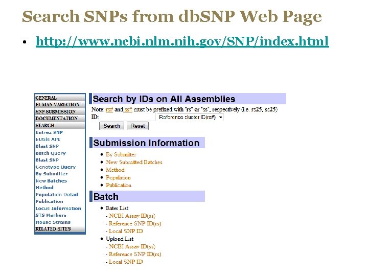 Search SNPs from db. SNP Web Page • http: //www. ncbi. nlm. nih. gov/SNP/index.