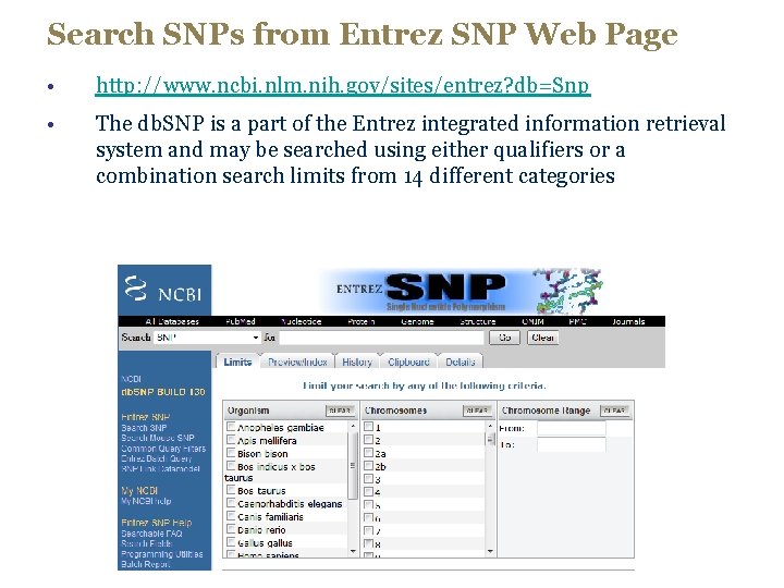 Search SNPs from Entrez SNP Web Page • http: //www. ncbi. nlm. nih. gov/sites/entrez?