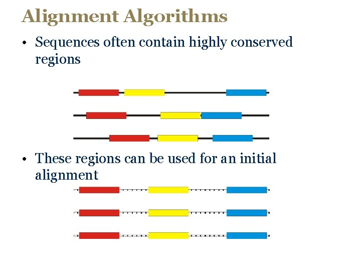 Alignment Algorithms • Sequences often contain highly conserved regions • These regions can be