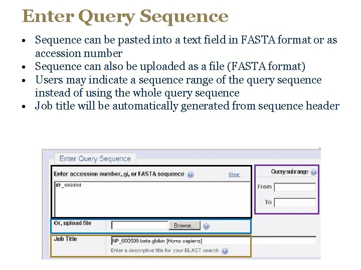 Enter Query Sequence • Sequence can be pasted into a text field in FASTA